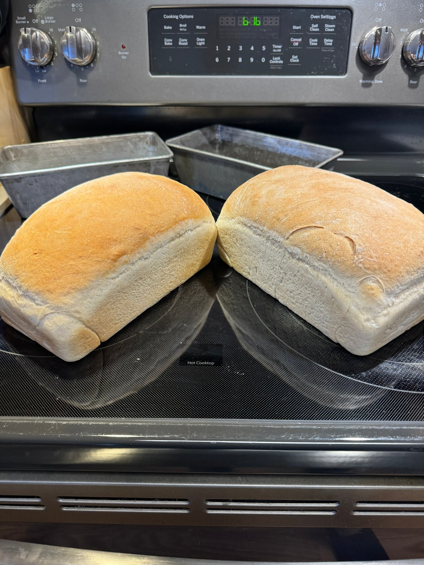 Fresh Baked Bread (Sandwich Loaf)